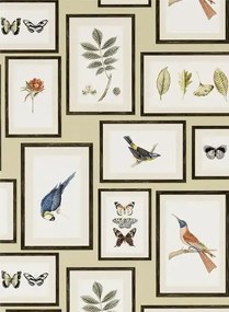 Sanderson Carta da parati Picture Gallery - Sand/ Multi