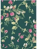 Cole & Son Carta da parati Sweet Pea - Pink/ Green