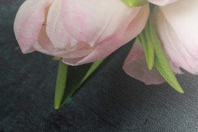 Stampa su tela – Tulipani rosa pastello
