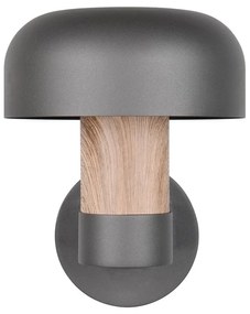 Illuminazione esterna da parete (altezza totale 24,5 cm) Fraser – Trio