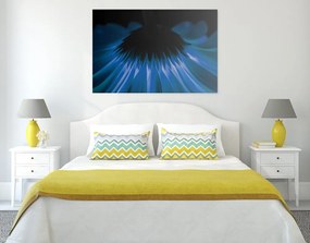 Quadro su tela – Gerbera blu su sfondo scuro