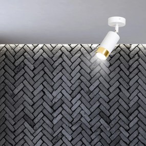 Faretto Orientabile 1 Luce Ragnar A Cilindro In Acciaio Bianco E Oro