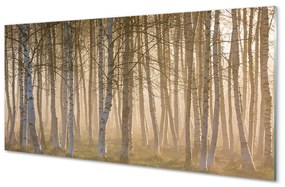 Pannello paraschizzi Alberi della foresta di alba 100x50 cm