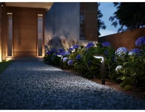 Philips TYLA LED 9W 230V 4000K IP44 lampada esterna con sensore