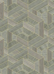 Coordonne Carta da parati Hexagon - Mole
