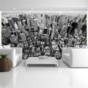 Fotomurale  Stati Uniti, New York: bianco e nero  Colore bianco e nero, Dimensioni e Misure 450x270