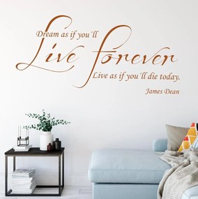 Autoadesivo murale con la frase - James Dean | Inspio