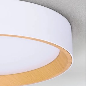 Brilagi - Lampada da soffitto dimmerabile LARIOS LED/72W/230V bianco Ø 59 cm + telecomando