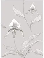 Cole & Son Carta da parati Orchid - Grey on White