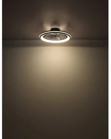 Globo 03643 - Ventilatore da soffitto dimmerabile a LED CELESTE LED/40W/230V 3000-6500K + TC