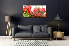 Quadro in vetro acrilico Tulipani, fiori, piante 100x50 cm