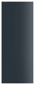 Anta per porta scorrevole Fumè satin in cristallo L 76 x H 215 cm reversibile