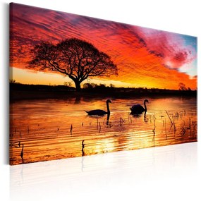 Quadro  Swan Lake  Colore Nero, Dimensioni e Misure 120x80