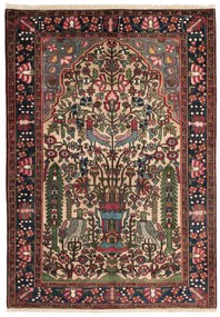 Bakhtiar Tappeto persiano 150x210 (Iran) Annodato A Mano