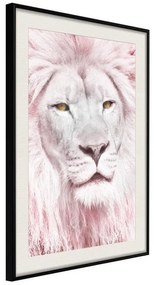 Poster  Dreamy Lion  Cornice Quadri Cornice nera con pass-partout, Larghezza x Altezza Home decor 20x30