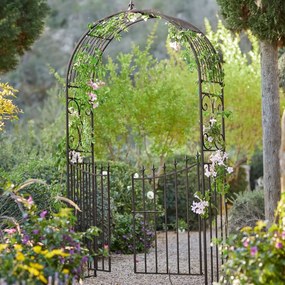 LOBERON Arco da giardino Skyrose