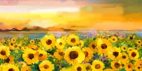 Stampa su tela – Campo di girasoli