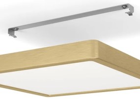 Eglo 900184 - Plafoniera LED FUEVA LED/20,5W/230V