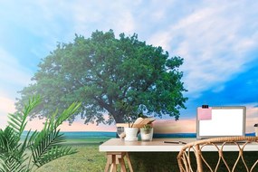 Carta da parati – Quercia solitaria