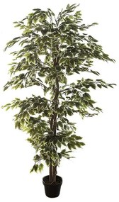 Pianta artificiale senza vaso Ficus H 240