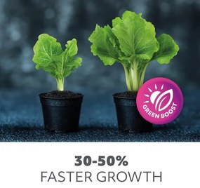 LED Lampadina per la crescita delle piante PLANTY E27/9W/230V 1200K bianco