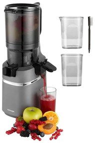 Concept LO7120 - Spremiagrumi lento JUICY 250W/230V grigio