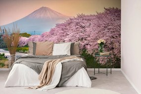 Carta da parati – Splendido Giappone
