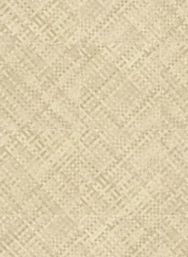 Élitis Carta da parati Buri - VP 985 02
