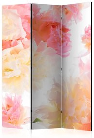 Paravento  Pastel peonies [Room Dividers]  Colore ---, Dimensioni e Misure 135x172