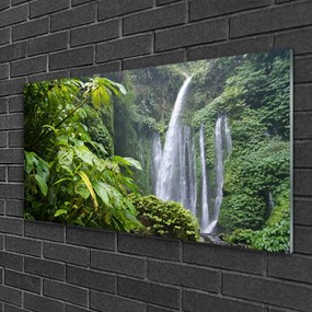 Quadro in vetro Cascata Natura 100x50 cm