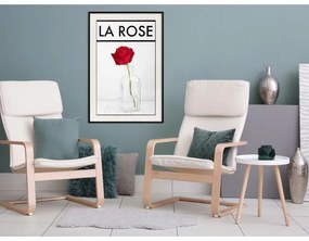 Poster Rose in the Vase