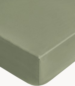 Lenzuolo con angoli boxspring in cotone Aurora