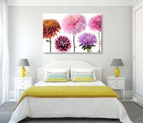 Stampa su tela – Fiori di dalia in design multicolore