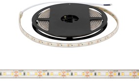 Striscia LED 2835/120 12V 12W/m IP67 5m Colore Bianco Freddo 6.000K