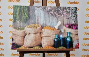Quadro su tela – Erbe medicinali