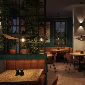 Lampada da soffitto APP1470-1CP BLACK/OLD GOLD