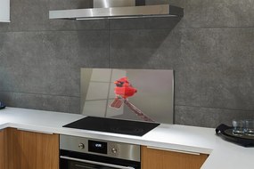 Pannello paraschizzi cucina Pappagallo rosso su un ramo 100x50 cm