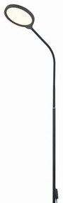 Lampada da terra dimmerabile a LED 2in1 LED/10W/230V 3000-4500-6500K nero
