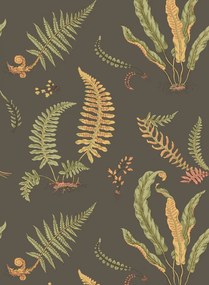GP & J Baker Carta da parati Ferns - Charcoal
