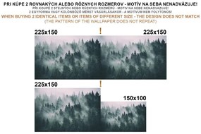 Carta da parati autoadesiva – Aurora boreale nordica
