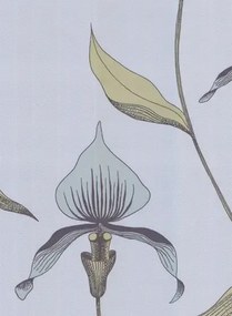Cole & Son Carta da parati Orchid - Grau/ Blassblau