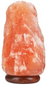 Lampada al sale SALLY 1xE14/25W/230V