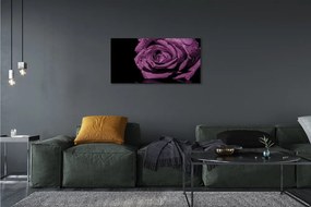 Stampa quadro su tela Rosa viola 100x50 cm