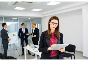 Kanlux 31174 - Pannello a plafone LED BAREV LED/40W/230V 4000K 120x30 cm