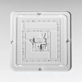 Plafoniera LED NEMO LED/36W/230V 50x50 cm cromo lucido