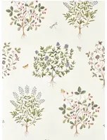 Sanderson Carta da parati Thyme Walk - Damson & Quince