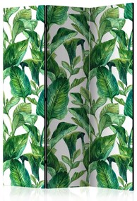 Paravento design Eden tropicale (3-parti) - piante esotiche verdi su sfondo bianco
