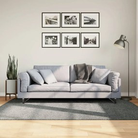Tappeto Shaggy Pamplona A Pelo Lungo Moderno Verde 140x200 Cm /