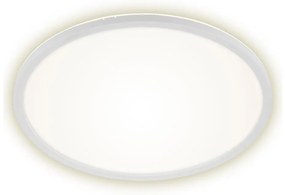 Briloner 7157-416 - Plafoniera LED SLIM LED/22W/230V diametro 42 cm