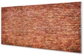 Pannello rivestimento cucina Muro di mattoni 100x50 cm